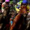 Courses Hippiques : comprendre les bases…